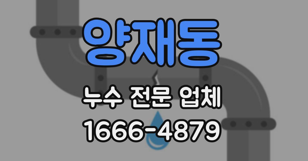 양재동 누수 전문 업체