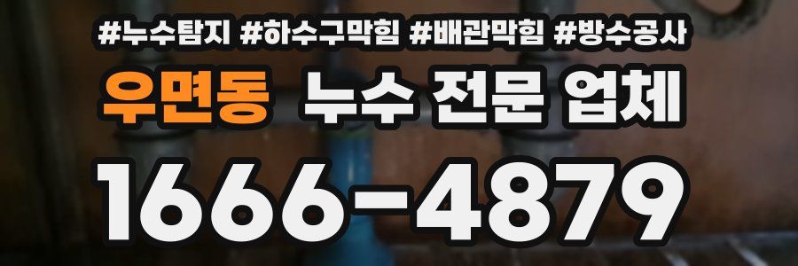 우면동 누수 전문 업체