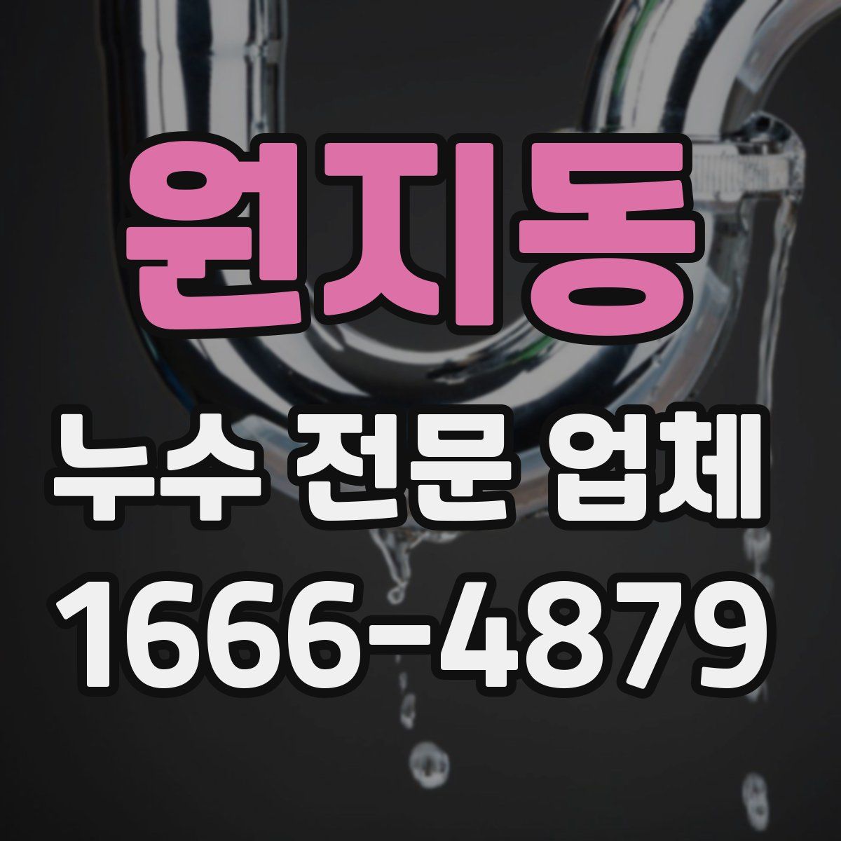 원지동 누수 전문 업체