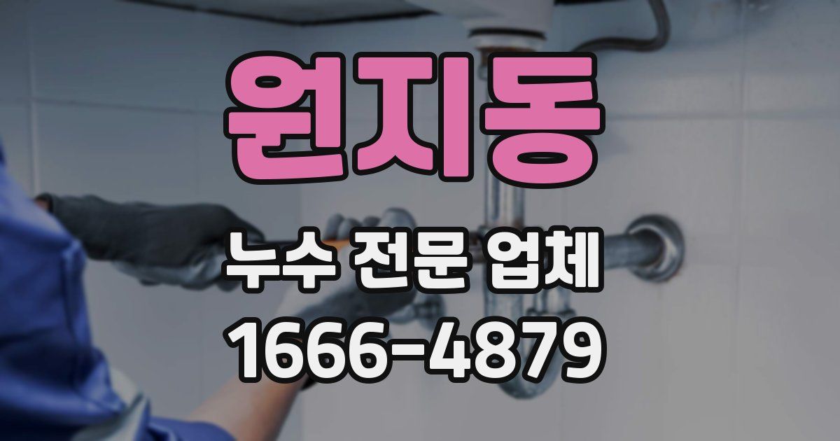 원지동 누수 전문 업체