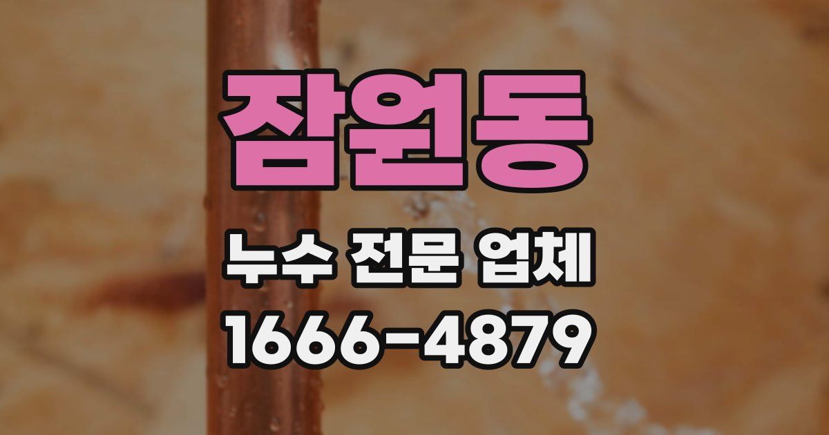 잠원동 누수 전문 업체
