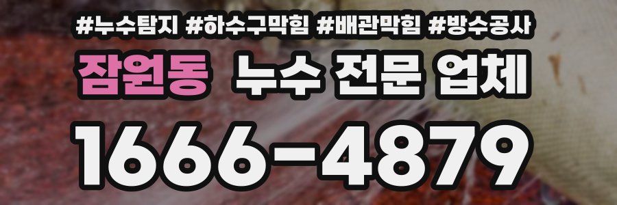 잠원동 누수 전문 업체