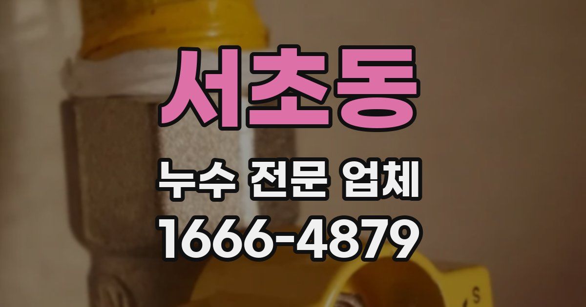 서초동 누수 전문 업체