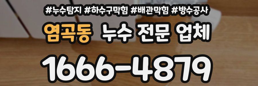염곡동 누수 전문 업체