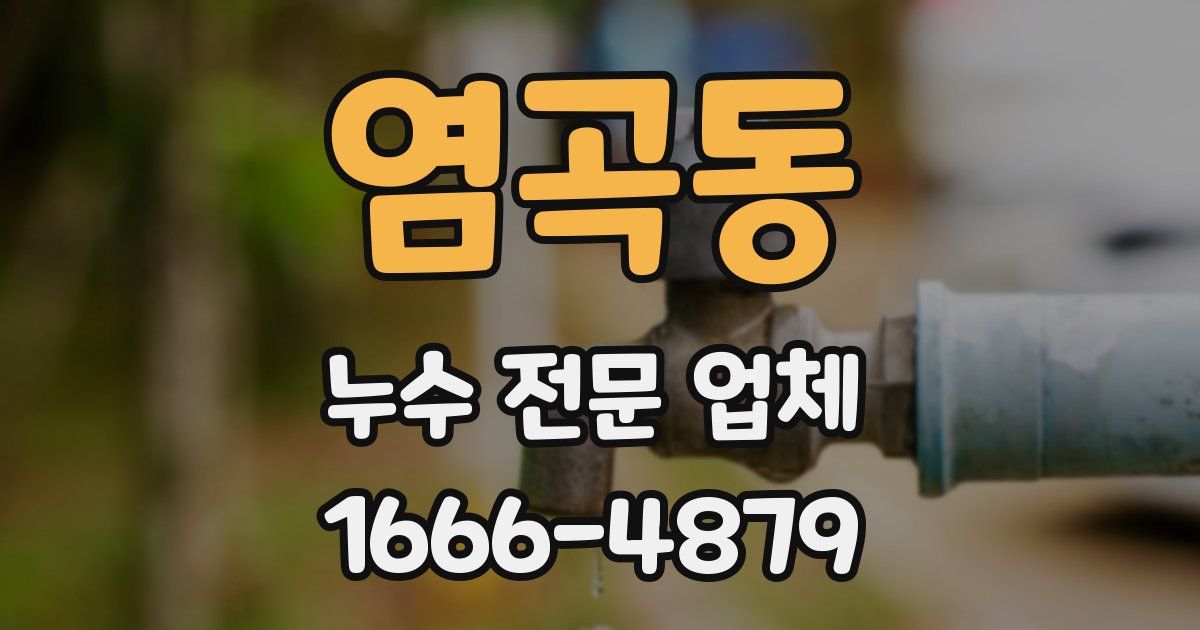 염곡동 누수 전문 업체