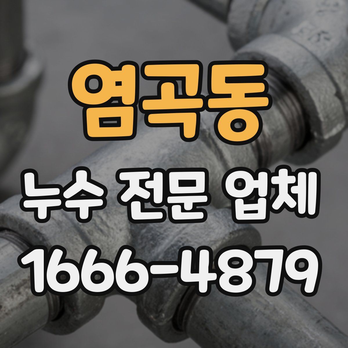 염곡동 누수 전문 업체