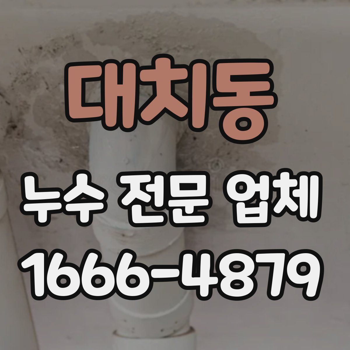 대치동 누수 전문 업체