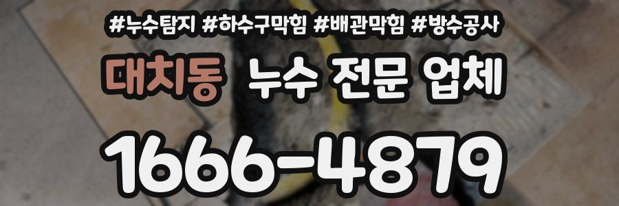 대치동 누수 전문 업체