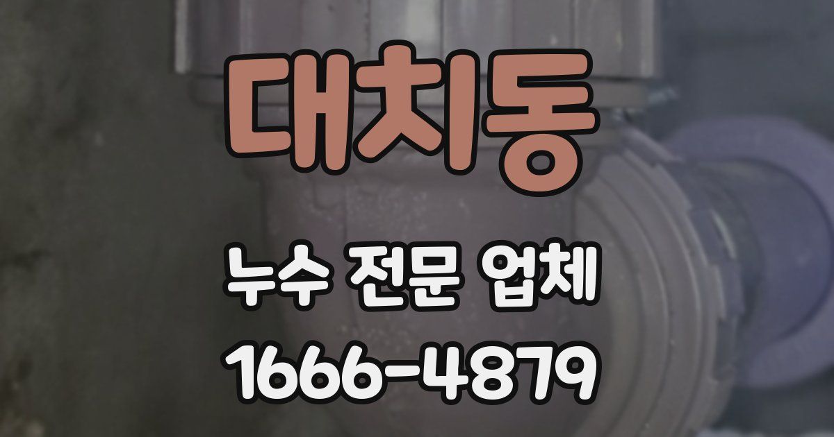 대치동 누수 전문 업체
