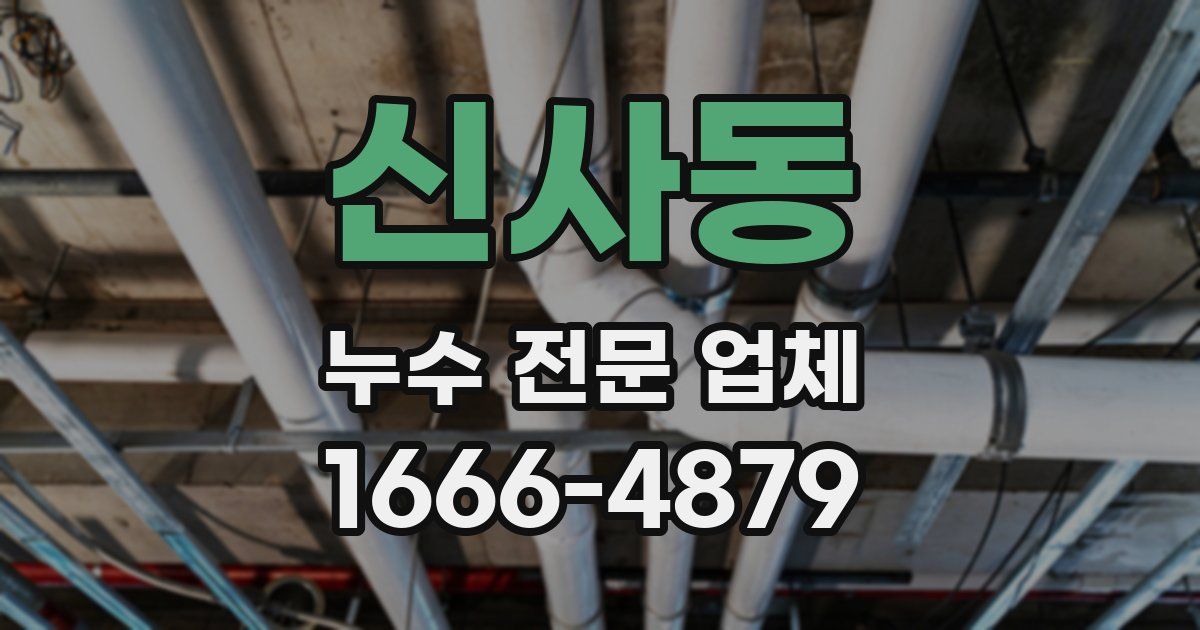 신사동 누수 전문 업체