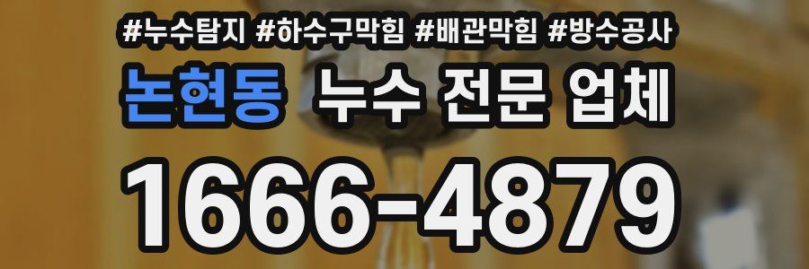 논현동 누수 전문 업체