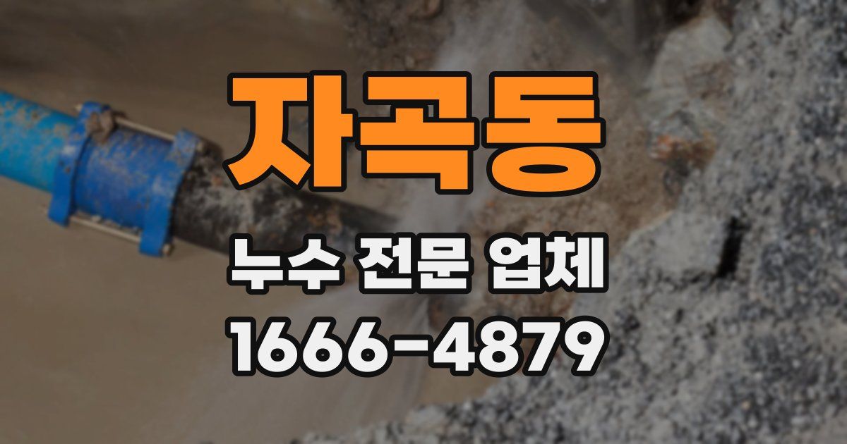 자곡동 누수 전문 업체