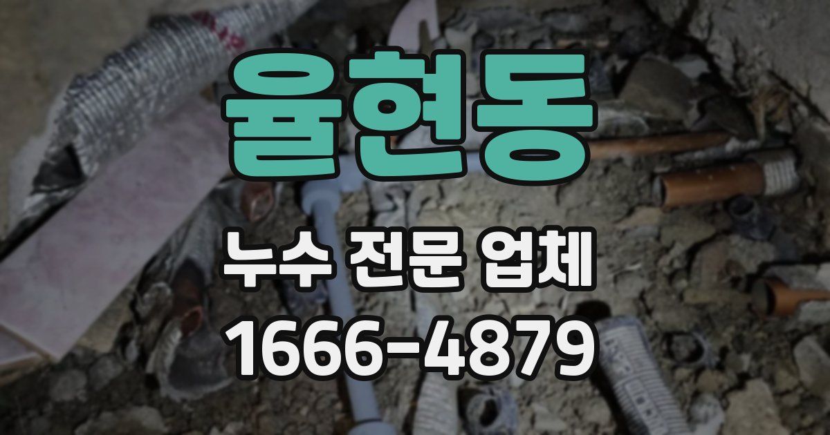 율현동 누수 전문 업체