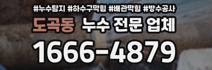 도곡동 누수 전문 업체