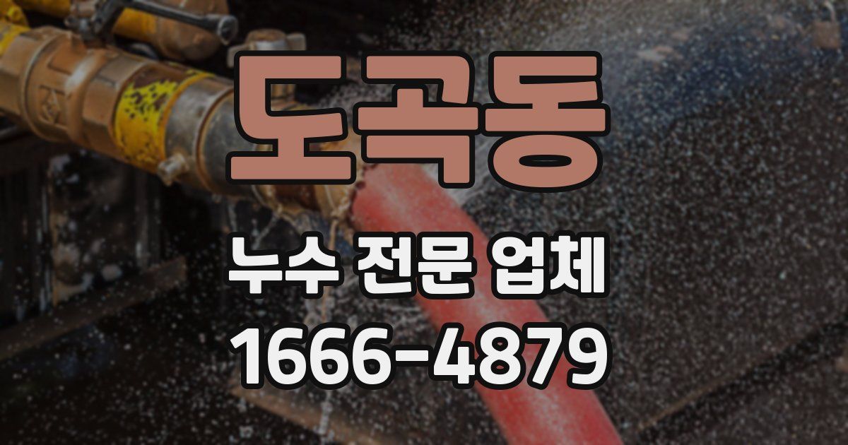 도곡동 누수 전문 업체