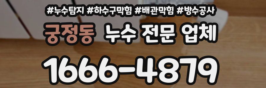 궁정동 누수 전문 업체