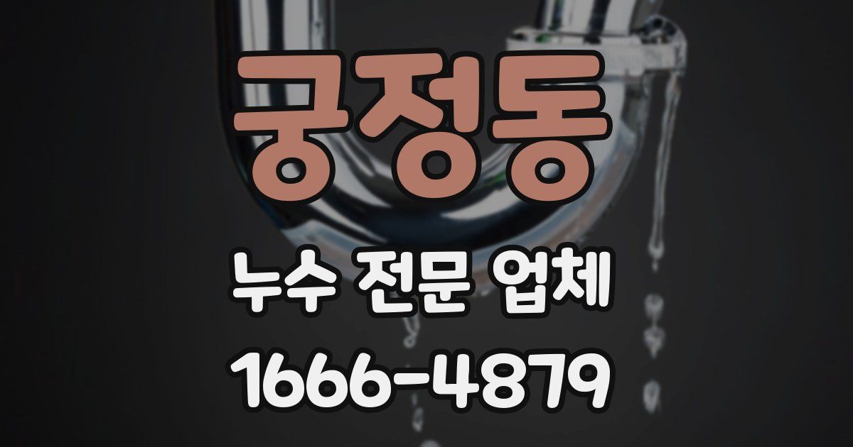 궁정동 누수 전문 업체
