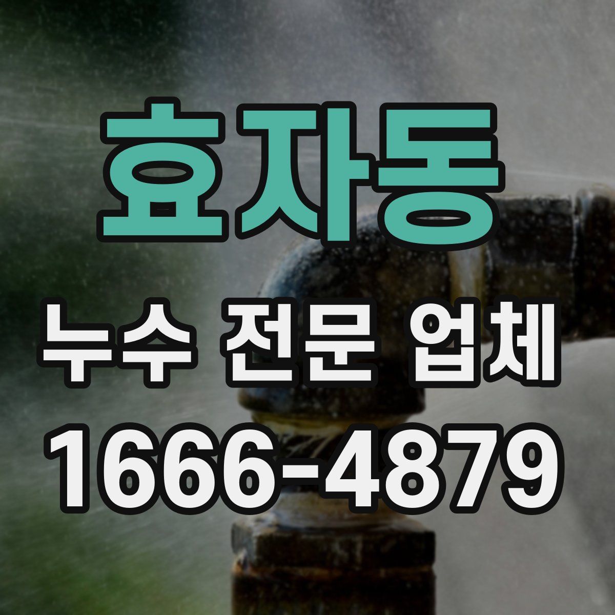 효자동 누수 전문 업체