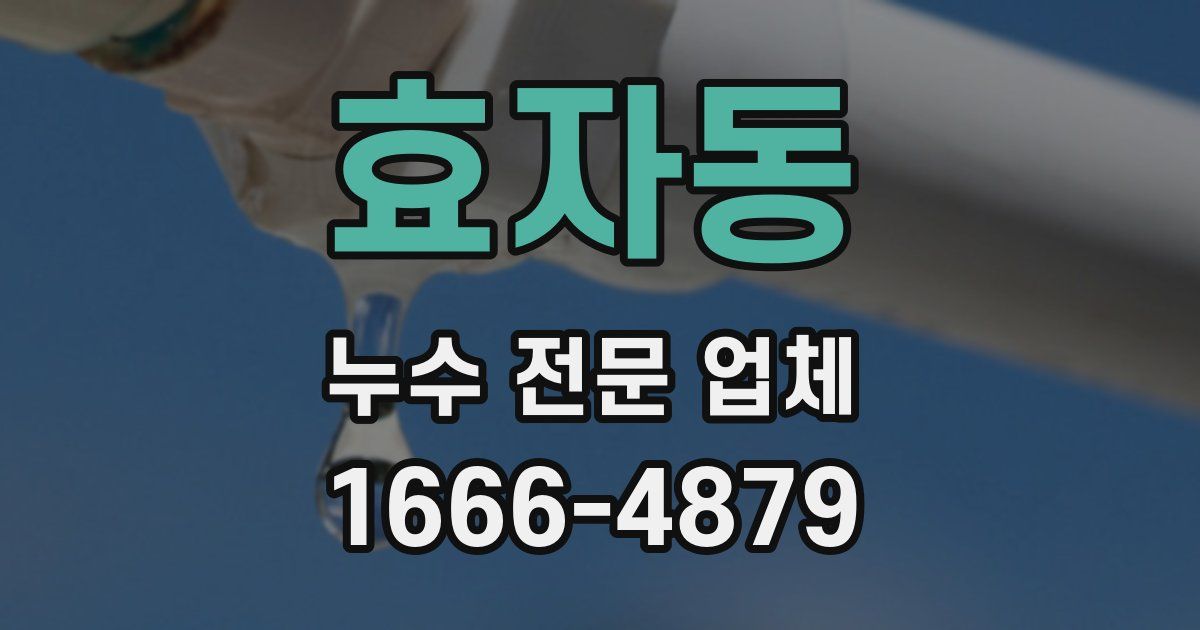 효자동 누수 전문 업체