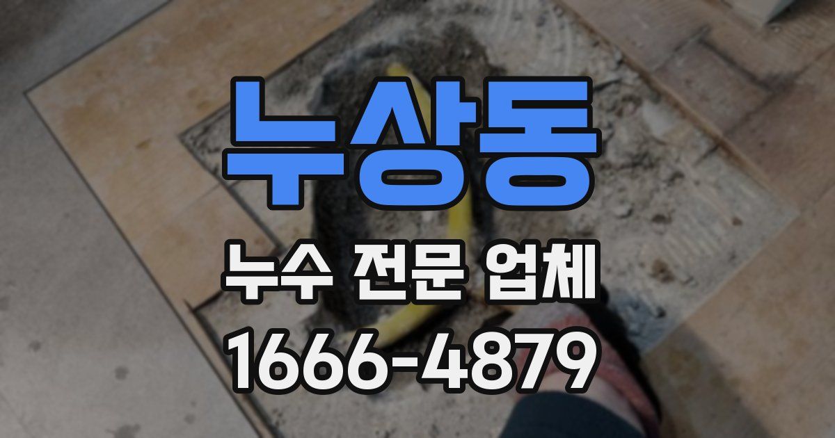 누상동 누수 전문 업체