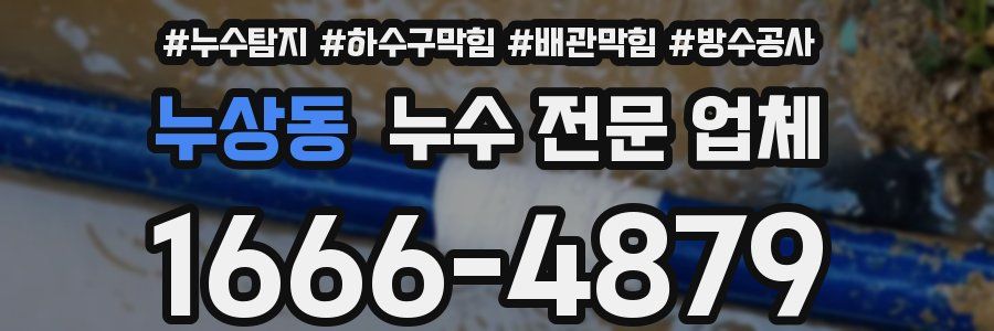 누상동 누수 전문 업체