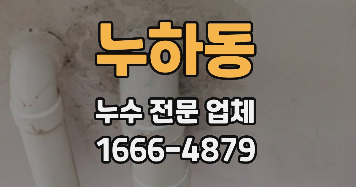 누하동 누수 전문 업체