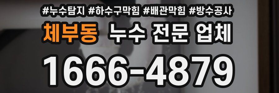 체부동 누수 전문 업체
