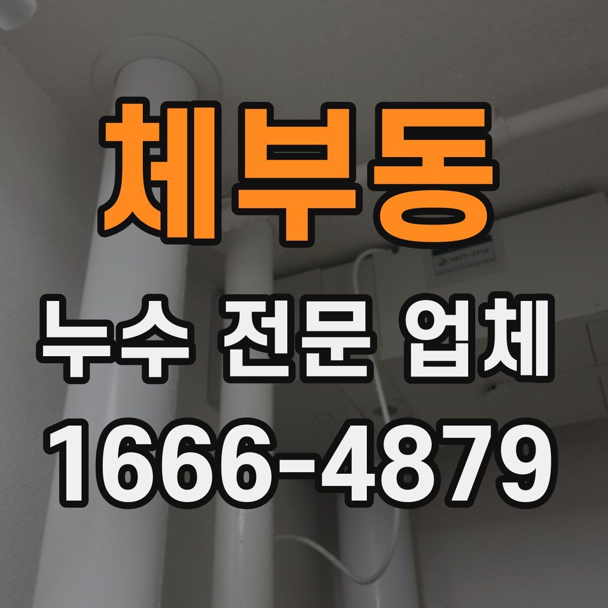 체부동 누수 전문 업체