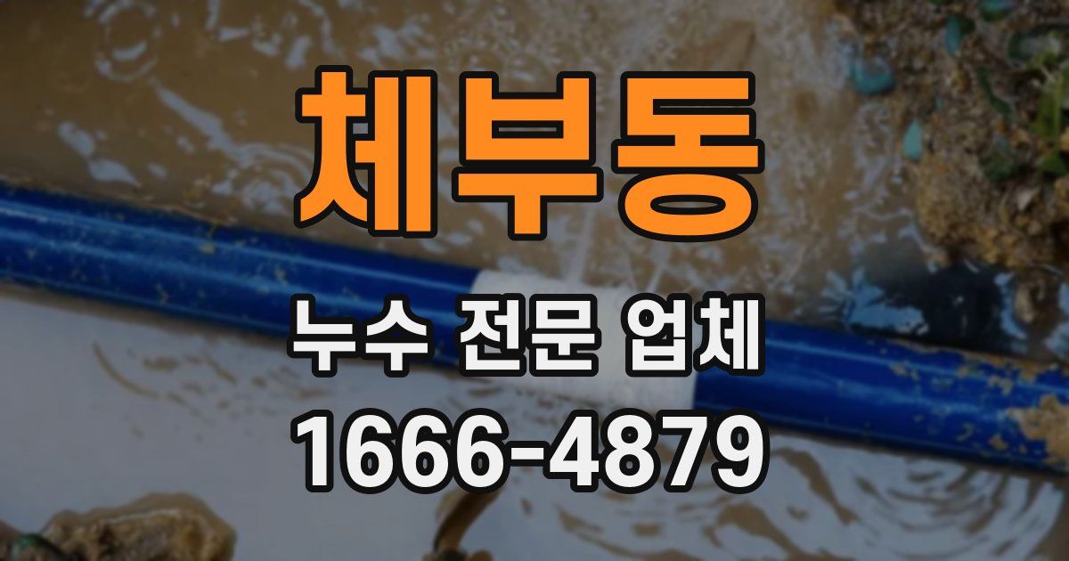 체부동 누수 전문 업체