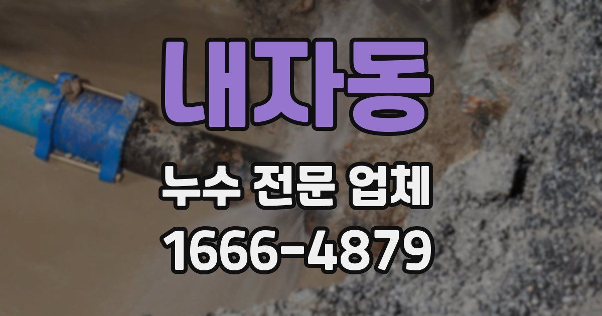 내자동 누수 전문 업체