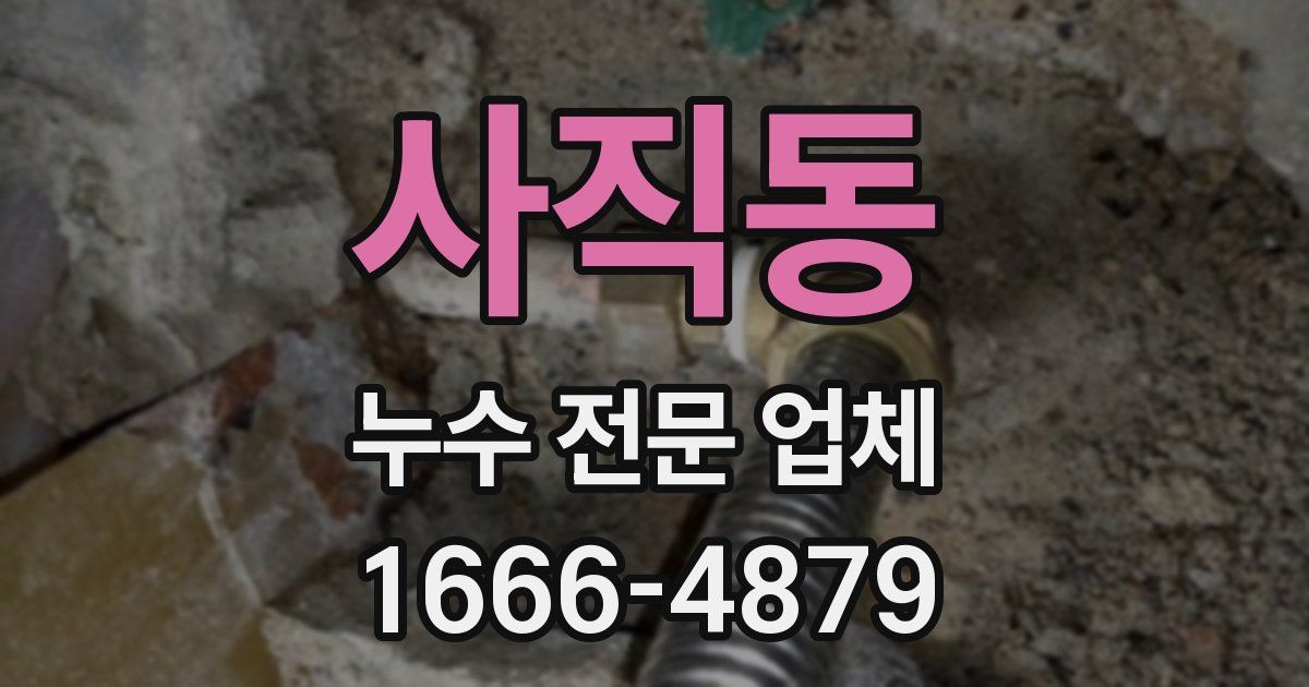사직동 누수 전문 업체