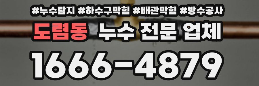 도렴동 누수 전문 업체