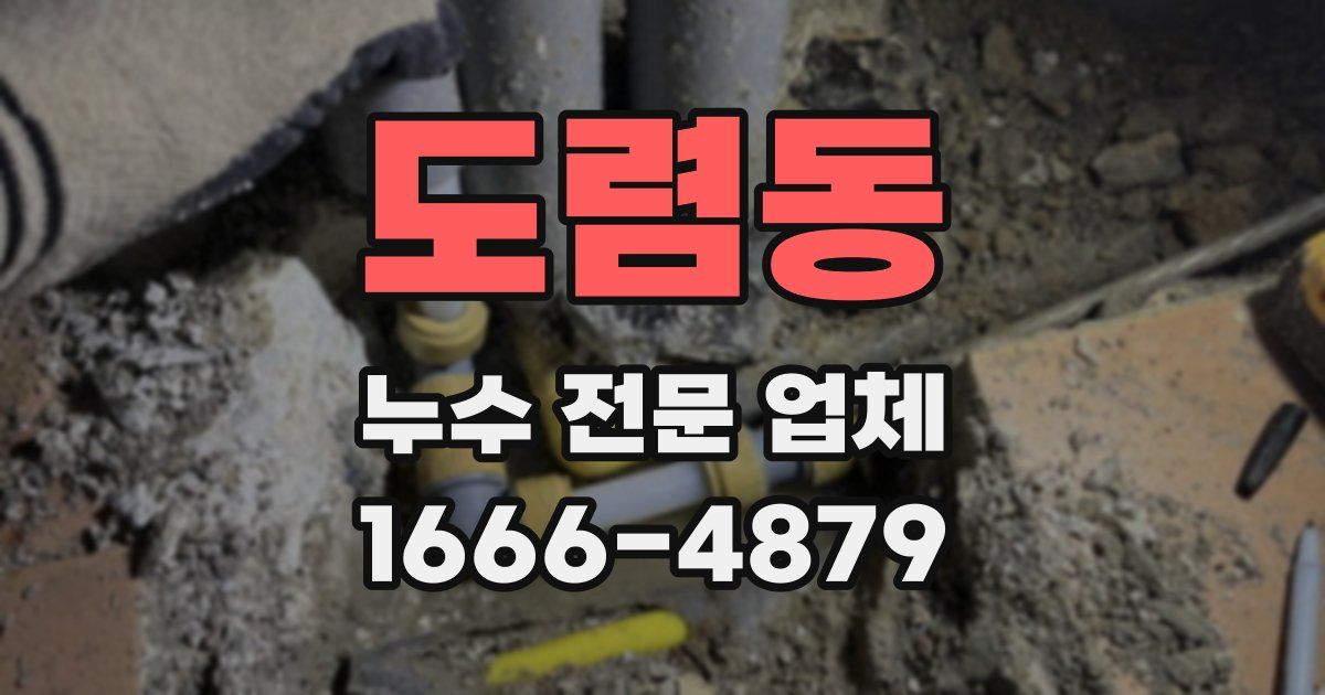 도렴동 누수 전문 업체