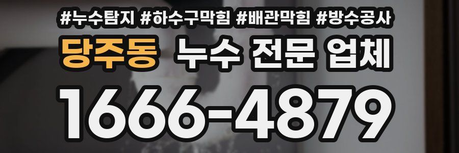 당주동 누수 전문 업체