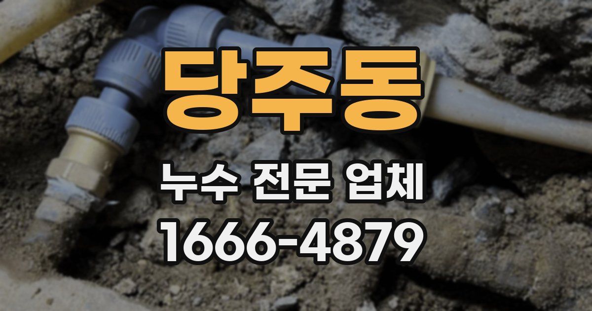 당주동 누수 전문 업체