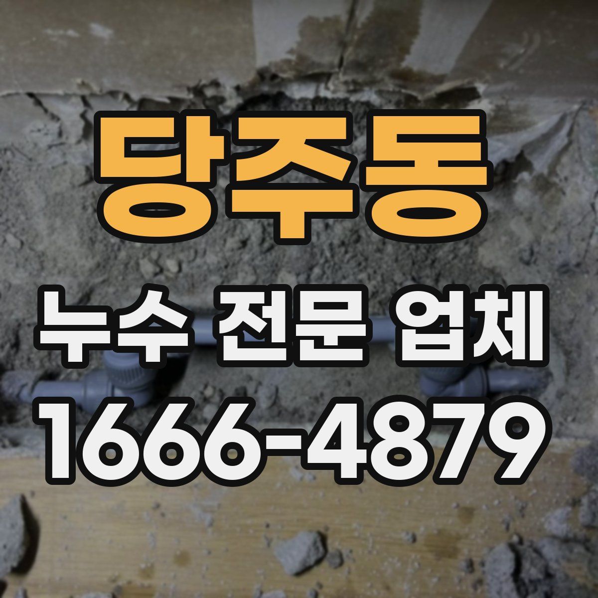 당주동 누수 전문 업체