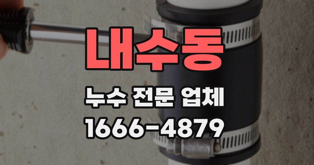 내수동 누수 전문 업체