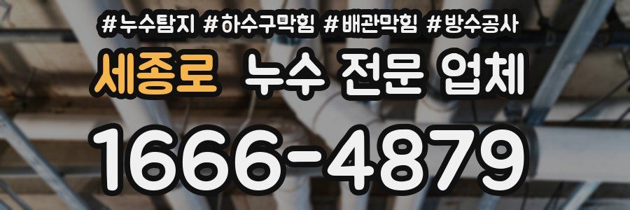 세종로 누수 전문 업체