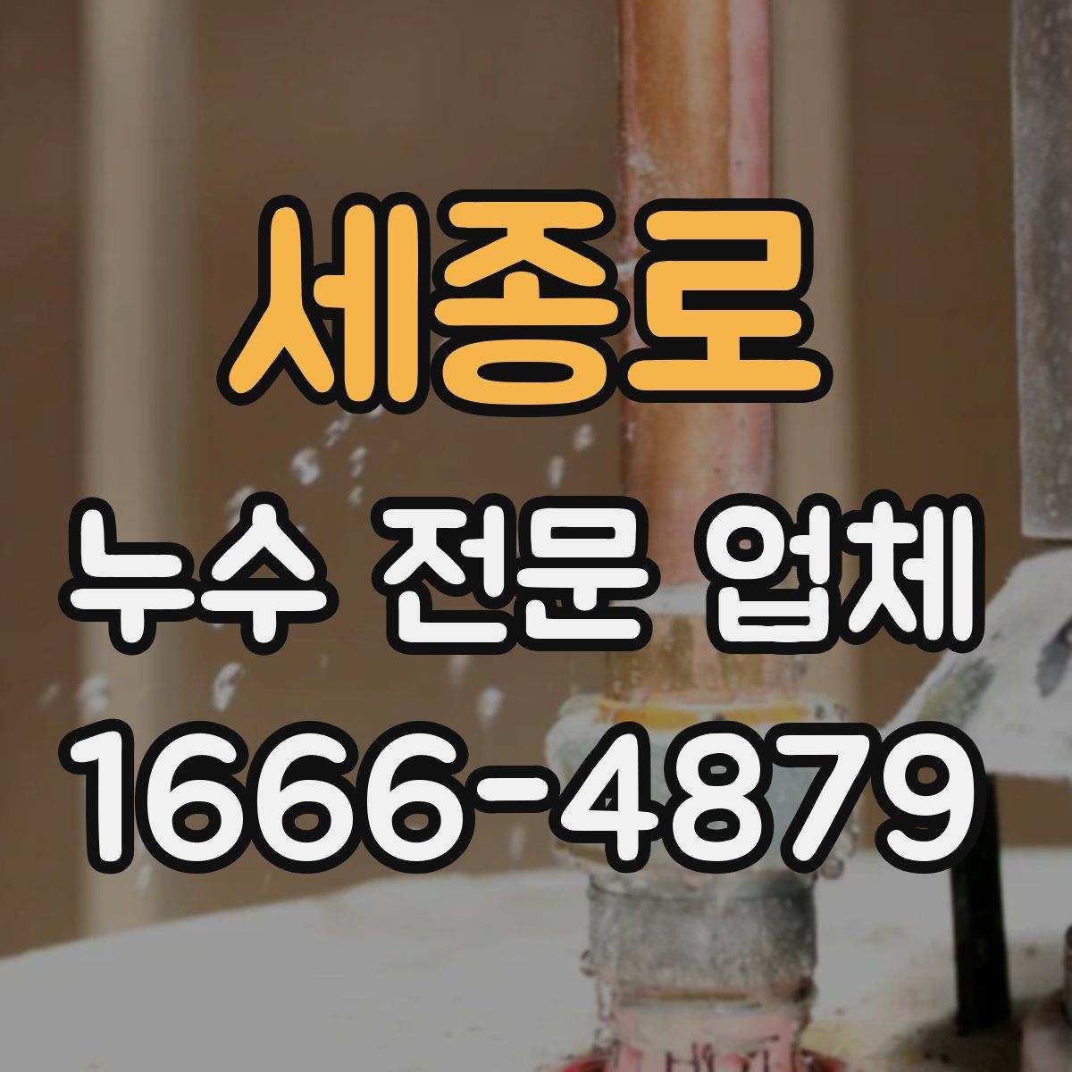 세종로 누수 전문 업체