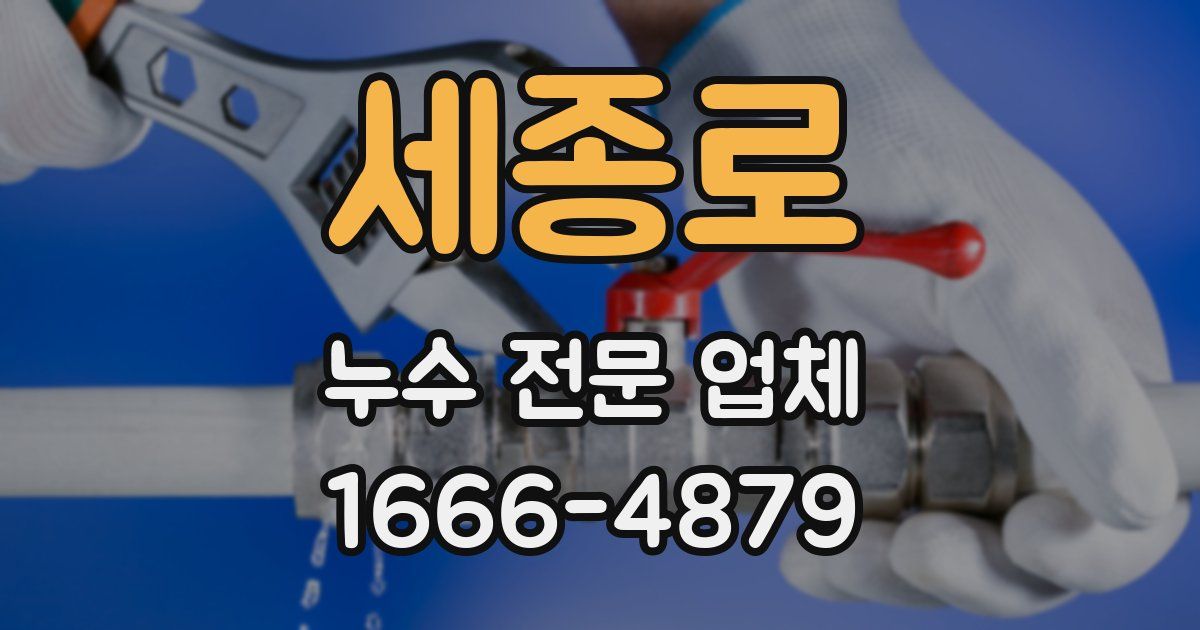 세종로 누수 전문 업체