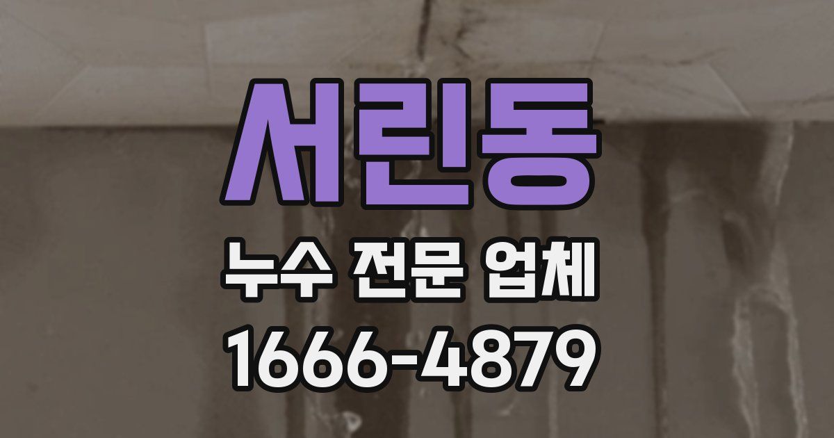 서린동 누수 전문 업체