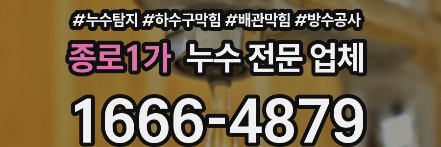 종로1가 누수 전문 업체