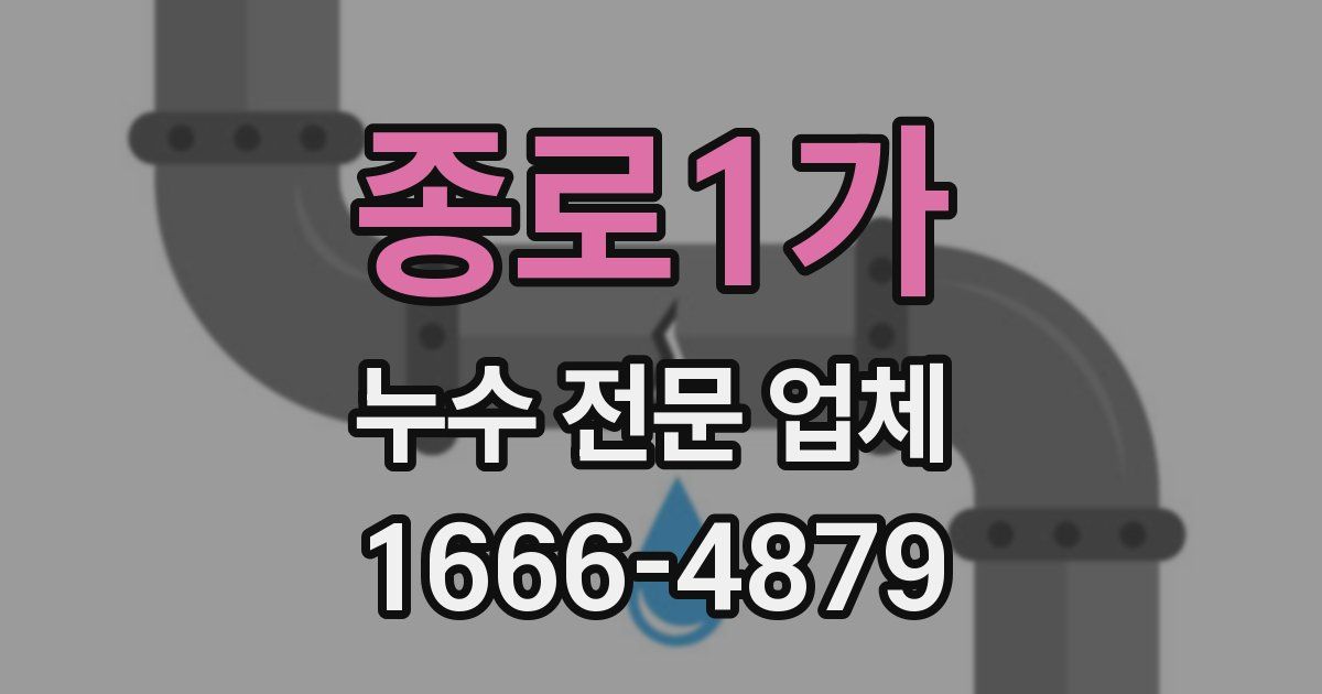 종로1가 누수 전문 업체