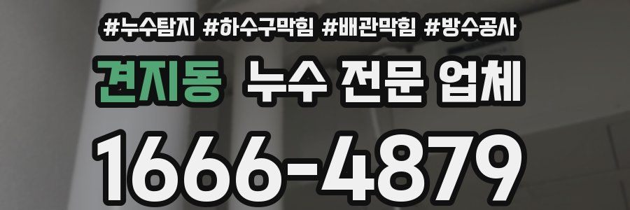 견지동 누수 전문 업체