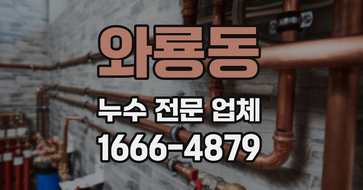 와룡동 누수 전문 업체