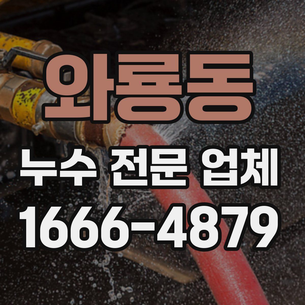 와룡동 누수 전문 업체