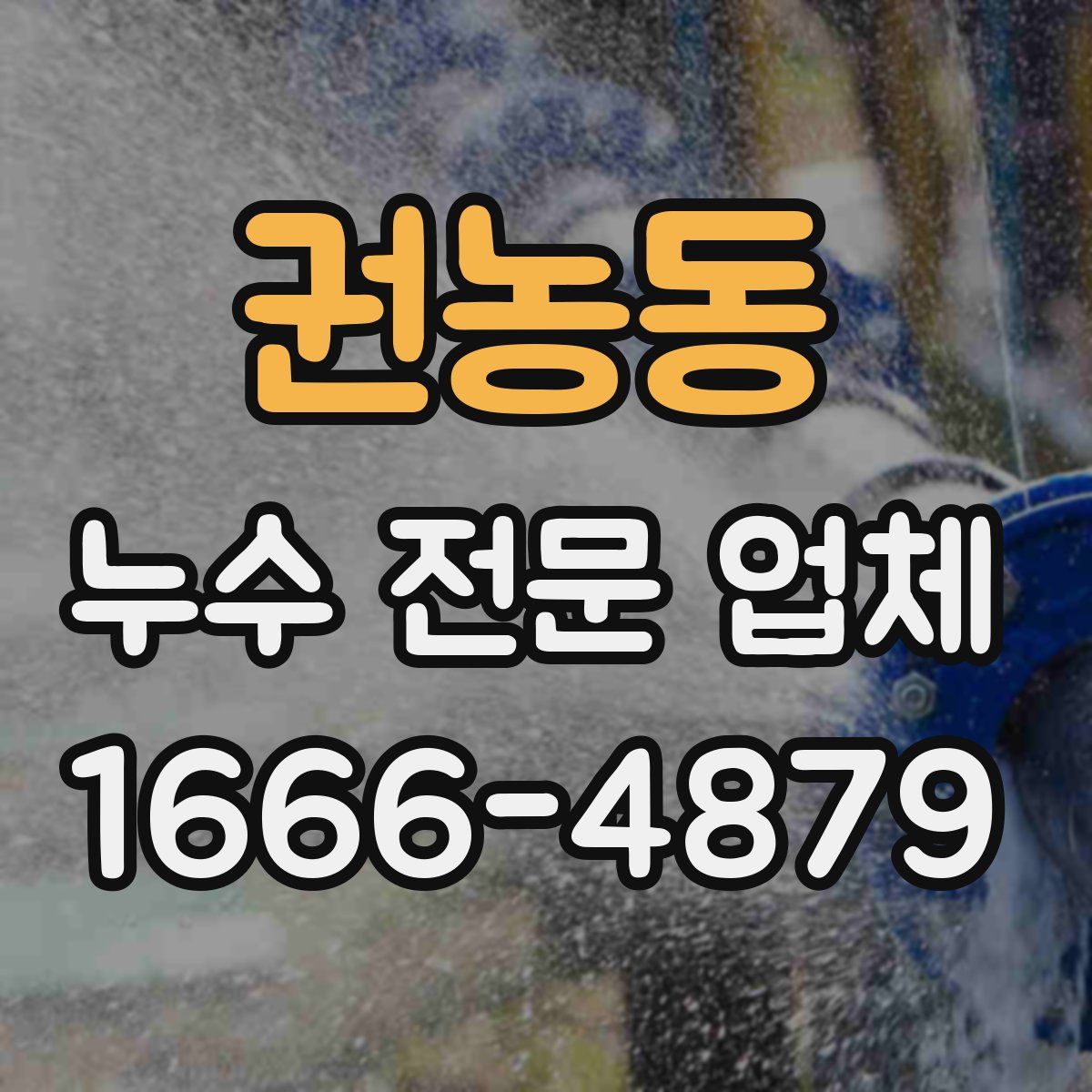 권농동 누수 전문 업체
