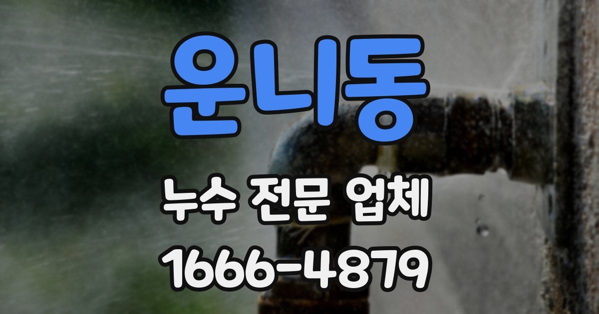 운니동 누수 전문 업체