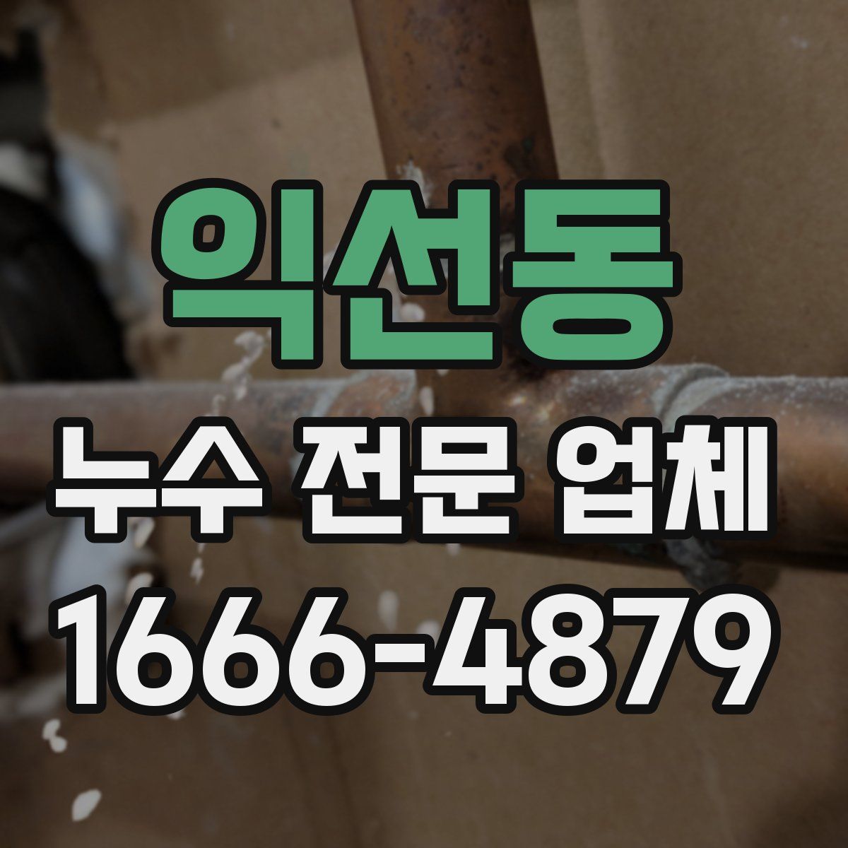 익선동 누수 전문 업체