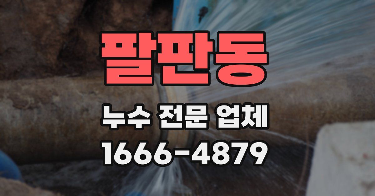 팔판동 누수 전문 업체